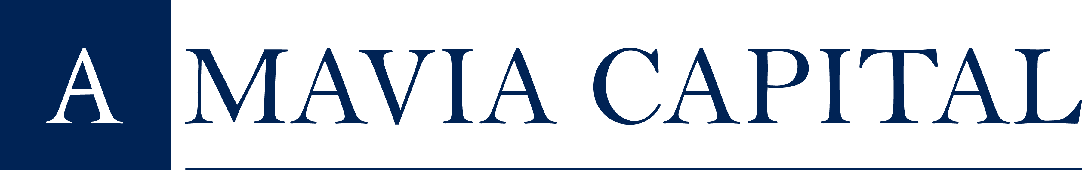 Amavia Capital • AMAVIA CAPITAL blue